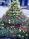 aoki_080407_1.jpg
