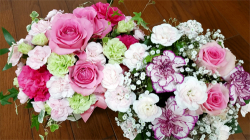 aoki_210528_5.jpg