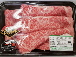 aoki_220208_2.jpg