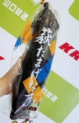 aoki_220602_2.jpg