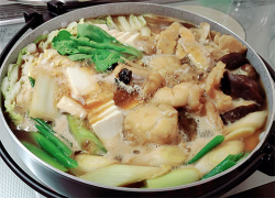 aoki_231128_1.jpg