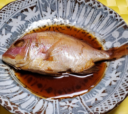 aoki_250319_3.jpg