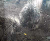 umitabi_071001_16_1.jpg