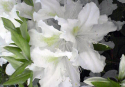 umitabi_080428_2.jpg