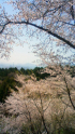 umitabi_110413.jpg
