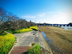 kitagawa_240315_1.jpg