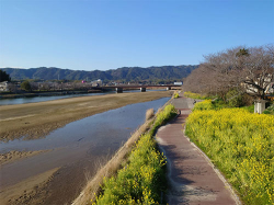 kitagawa_240315_3.jpg
