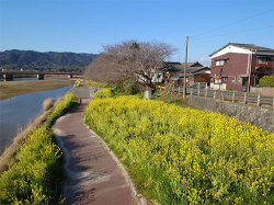 kitagawa_240315_4.jpg