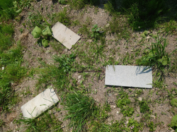 kitagawa250602_8.jpg