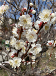 mutou_210219_2.jpg