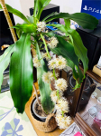 mutou_210224.jpg