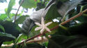 suizu_110413_1.jpg