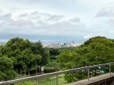 suizu_220803_1.jpg