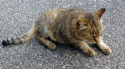 makoto_071116_1.jpg