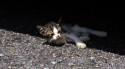 makoto_080707.jpg