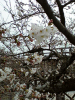 takahashi_110406.jpg