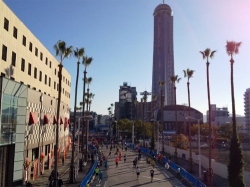 takahashi_211109_1.jpg