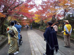 takahashi_211122_3.jpg