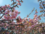 takahashi_210222_3.jpg