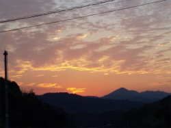 takahashi_210623_3.jpg