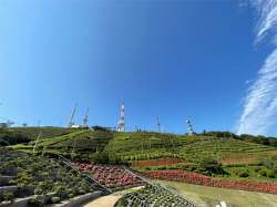 takahashi_210625_3.jpg