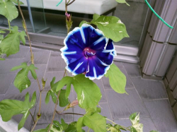 takahashi_210701_2.jpg