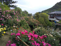 takahashi_220517_6.jpg