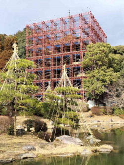 250428_6.jpg