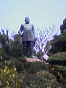 takeshige_080402_1.jpg