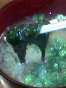 takeshige_080404_2.jpg