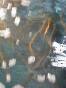 takeshige_080611_1.jpg