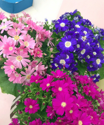 ueda_210409_1.jpg