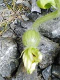 yamamoto_070607.jpg