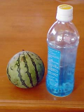 yamamoto_070727_2.jpg