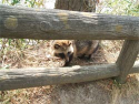 yamamoto_080121_7.jpg