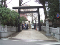 yamamoto_080128_4.jpg