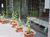 yamamoto_080605_1.jpg