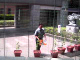 yamamoto_080606_3.jpg