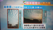 yamamoto_111014_3.jpg