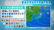 yamamoto_111202_1.jpg