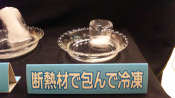 yamamoto_110805_5.jpg