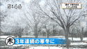 yamamoto_131213_3