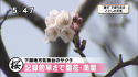 yamamoto_131213_5