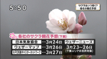 yamamoto_130225_1