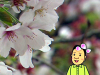 yamamoto_140411_3