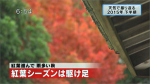 yamamoto_151225_11
