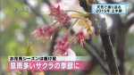 yamamoto_151225_4