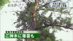 yamamoto_151225_5