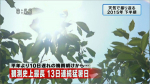 yamamoto_151225_8