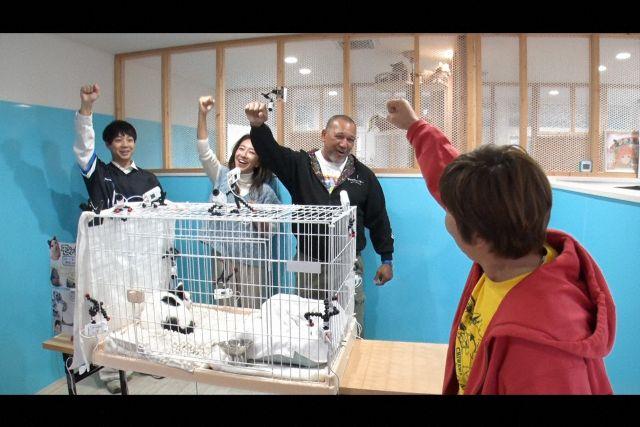 嗚呼みんなの動物園